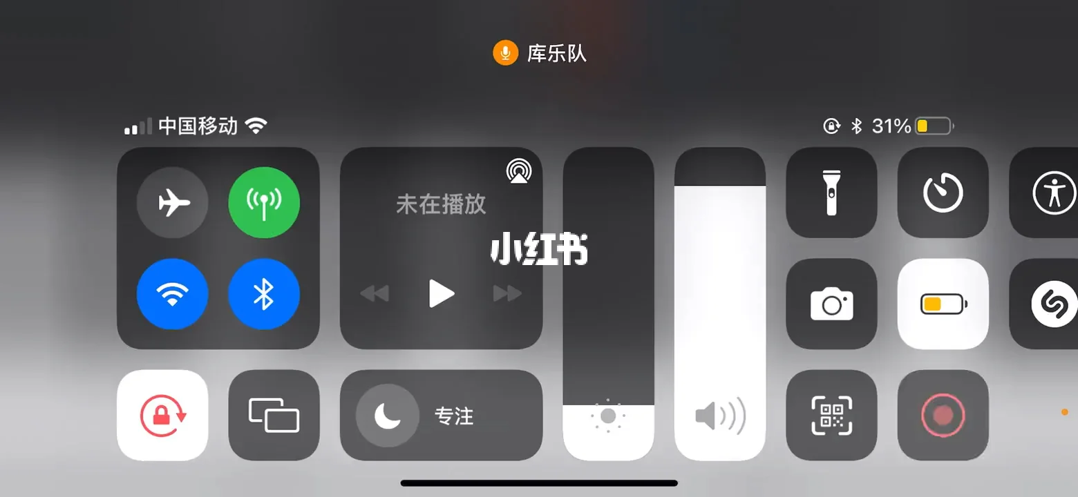 酷乐队应用app下载(酷乐队应用app下载安装)下载